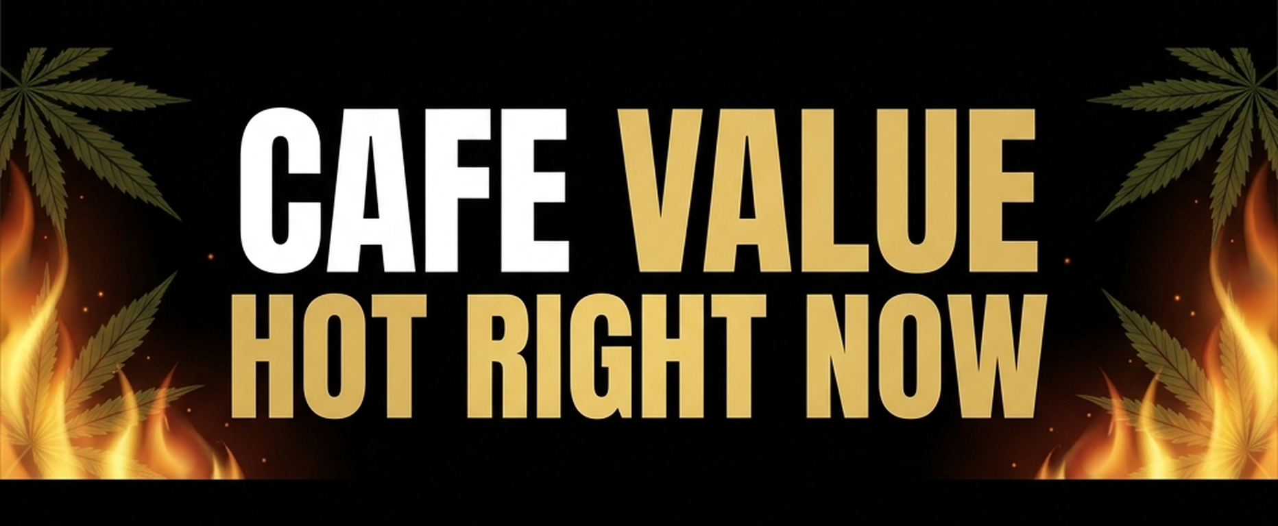 Hot Right Now — Staff picks and top sellers